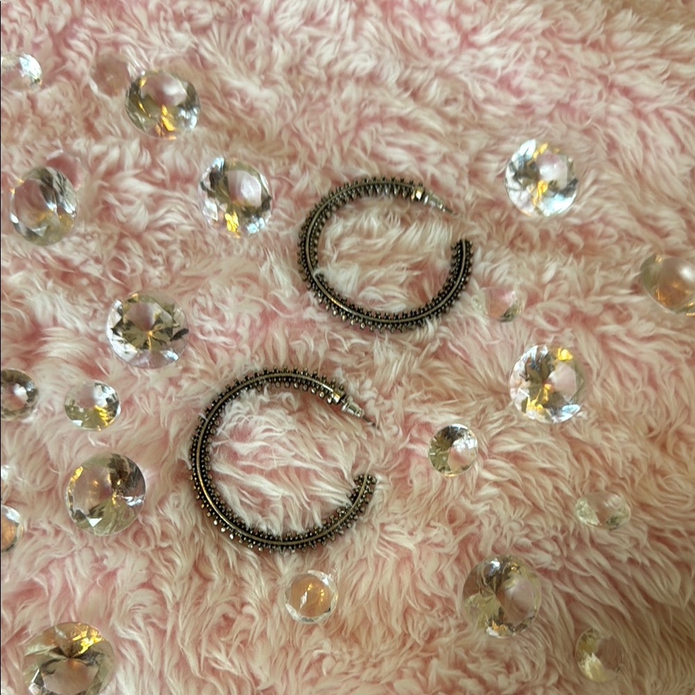 Silver Hoop Earrings